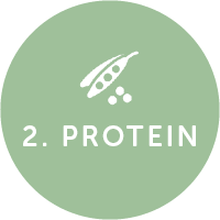 protein_icon – KHRYSSFIT – Best Personal & Group Fitness Trainer in ...